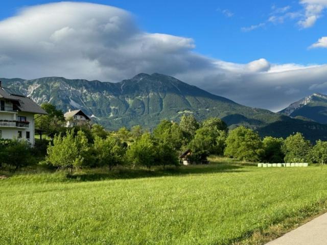 Apartmán Mia Dream Bled Exteriér fotografie